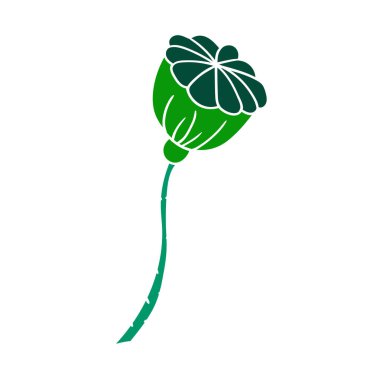 Sevimli çiçek çizimi tarzı. Beyaz arkaplanda gelincik simgesi. Beyaz taslak. Kartpostallar için tasarım