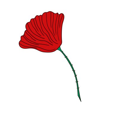 Sevimli çiçek çizimi tarzı. Beyaz arkaplanda gelincik simgesi. Tasarım