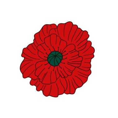 Sevimli çiçek çizimi tarzı. Beyaz arkaplanda gelincik simgesi. Kartpostallar için tasarım. Simge, imza, çıkartma, iğne