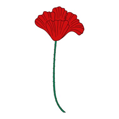 Sevimli çiçek çizimi tarzı. Beyaz arkaplanda gelincik simgesi. Kartpostallar, el ilanları, afişler için tasarım. Simge, imza, çıkartma, iğne