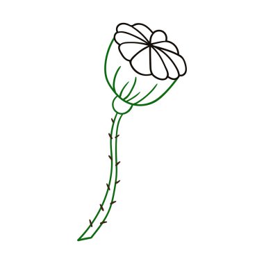 Sevimli çiçek çizimi tarzı. Beyaz arkaplanda gelincik simgesi. Renk çizgisi. Boyama kitapları ve oyunlar için tasarım