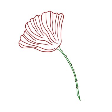 Sevimli çiçek çizimi tarzı. Beyaz arkaplanda gelincik simgesi. Renk çizgisi. Boyama kitapları için tasarım, oyun