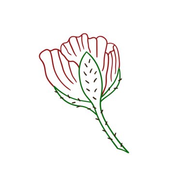 Sevimli çiçek çizimi tarzı. Beyaz arkaplanda gelincik simgesi. Renk çizgisi. Boyama kitapları ve çocuk oyunları için tasarım