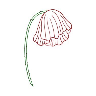 Sevimli çiçek çizimi tarzı. Beyaz arkaplanda gelincik simgesi. Renk çizgisi. Boyama kitapları, çocuk eğitim oyunları için tasarlandı. Simge, imza, etiket