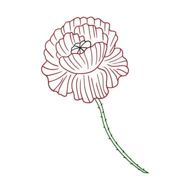 Sevimli çiçek çizimi tarzı. Beyaz arkaplanda gelincik simgesi. Renk çizgisi. Boyama kitapları, çocuk eğitim oyunları için tasarlandı. Simge