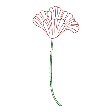 Sevimli çiçek çizimi tarzı. Beyaz arkaplanda gelincik simgesi. Renk çizgisi. Boyama kitapları, çocuk eğitim oyunları için tasarlandı. Simge, imza, çıkartma, iğne