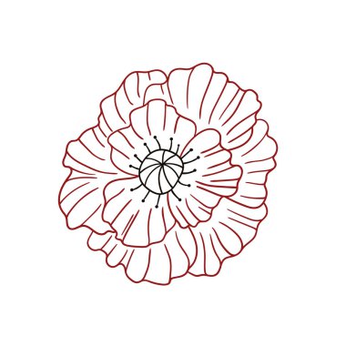 Sevimli çiçek çizimi tarzı. Beyaz arkaplanda gelincik simgesi. Renk çizgisi. Kitap için tasarım