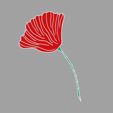 Sevimli çiçek çizimi tarzı. Gri arkaplanda gelincik simgesi. Beyaz taslak. Tasarım