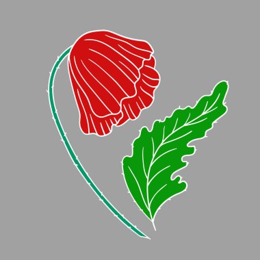 Sevimli çiçek çizimi tarzı. Gri arkaplanda gelincik simgesi. Beyaz taslak. Kartpostallar, el ilanları, afişler için tasarım. Simge, imzala