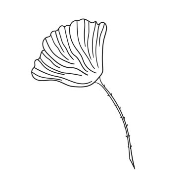 Sevimli çiçek çizimi tarzı. Tek renkli olsun. Beyaz arkaplanda gelincik simgesi. Boyama kitapları için tasarım, oyun