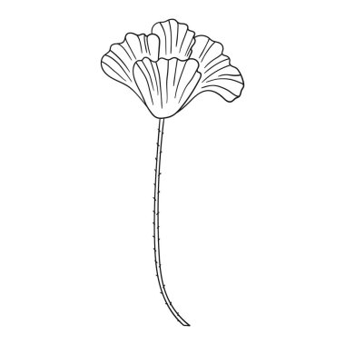 Sevimli çiçek çizimi tarzı. Tek renkli olsun. Beyaz arkaplanda gelincik simgesi. Boyama kitapları, çocuk eğitim oyunları için tasarlandı. Simge, imza, çıkartma, iğne