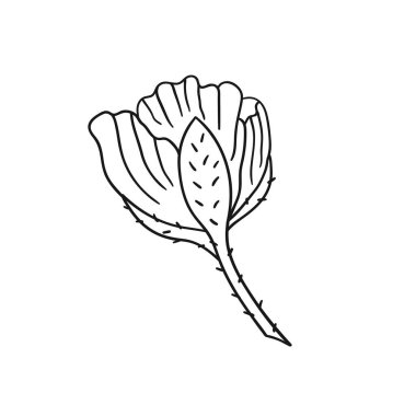 Sevimli çiçek çizimi tarzı. Tek renkli olsun. Beyaz arkaplanda gelincik simgesi. Boyama kitapları ve çocuk eğitim oyunu için tasarım