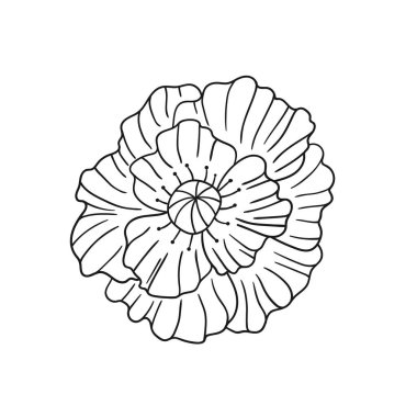 Sevimli çiçek çizimi tarzı. Tek renkli olsun. Beyaz arkaplanda gelincik simgesi. Kitap için tasarım