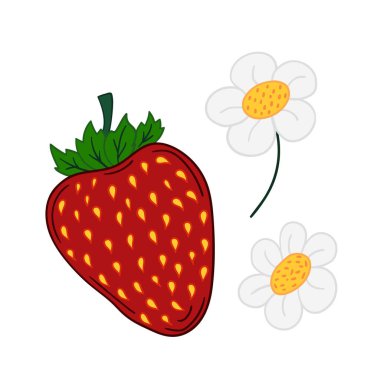 Elle çizim tarzında şirin çilek çizimi. Beyaz arka planda çilek ikonu. Tasarım