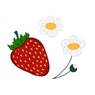 Elle çizim tarzında şirin çilek çizimi. Beyaz arka planda çilek ikonu. Kartpostallar için tasarım