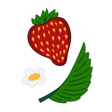 Elle çizim tarzında şirin çilek çizimi. Beyaz arka planda çilek ikonu. Kartpostallar, el ilanları, afişler için tasarım. Simge, işaret, etiket, iğne, logo