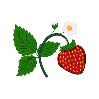 Elle çizim tarzında şirin çilek çizimi. Beyaz arka planda çilek ikonu. Kartpostallar, el ilanları, afişler için tasarım. Simge, imza, etiket