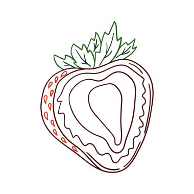 Elle çizim tarzında şirin çilek çizimi. Beyaz arka planda çilek ikonu. Renk çizgisi