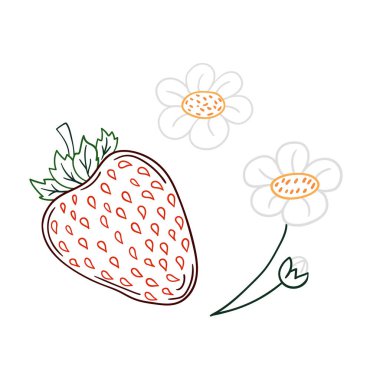 Elle çizim tarzında şirin çilek çizimi. Beyaz arka planda çilek ikonu. Renk çizgisi. Kartpostallar için tasarım