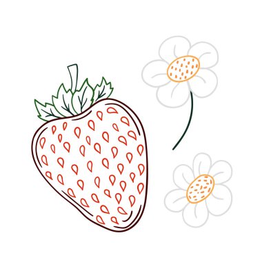 Elle çizim tarzında şirin çilek çizimi. Beyaz arka planda çilek ikonu. Renk çizgisi. Tasarım