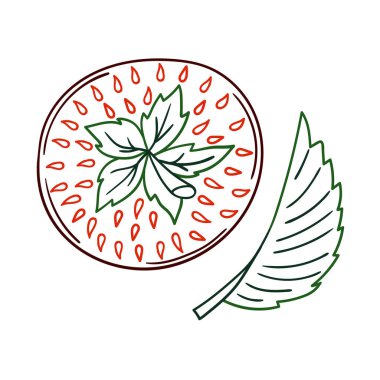 Elle çizim tarzında şirin çilek çizimi. Beyaz arka planda çilek ikonu. Renk çizgisi. Kartpostallar, el ilanları, afişler için tasarım