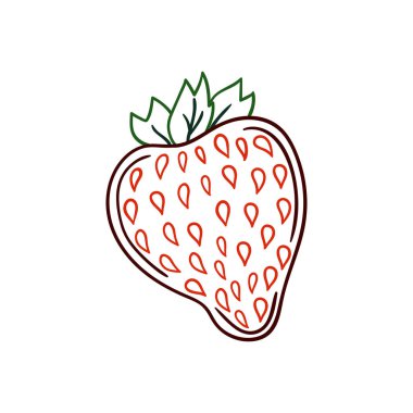 Elle çizim tarzında şirin çilek çizimi. Beyaz arka planda çilek ikonu. Renk çizgisi. Kartpostallar, el ilanları, afişler için tasarım. Simge, imzala