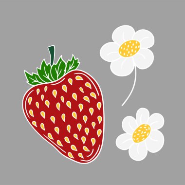 Elle çizim tarzında şirin çilek çizimi. Gri arka planda çilek ikonu. Beyaz taslak. Tasarım