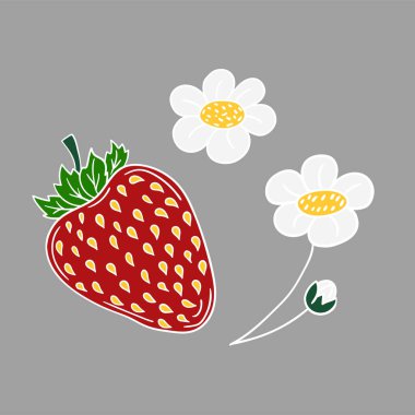 Elle çizim tarzında şirin çilek çizimi. Gri arka planda çilek ikonu. Beyaz taslak. Kartpostallar için tasarım