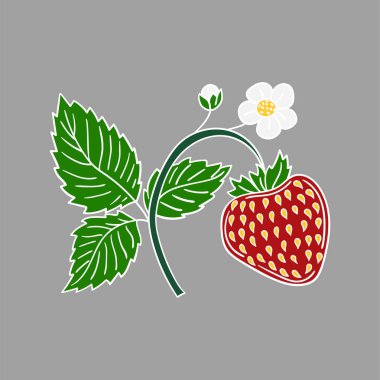 Elle çizim tarzında şirin çilek çizimi. Gri arka planda çilek ikonu. Beyaz taslak. Kartpostallar, el ilanları, afişler için tasarım. Simge, imza, etiket