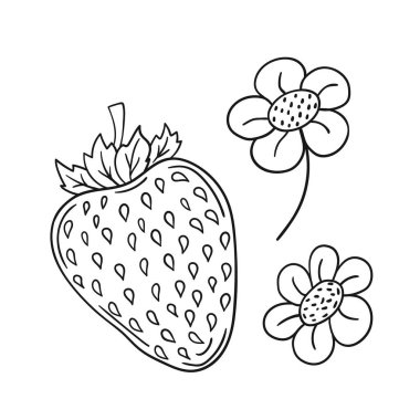 Elle çizim tarzında şirin çilek çizimi. Tek renkli olsun. Beyaz arka planda çilek ikonu. Boyama kitapları için tasarım, oyun