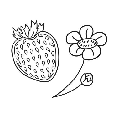 Elle çizim tarzında şirin çilek çizimi. Tek renkli olsun. Beyaz arka planda çilek ikonu. Boyama kitapları ve çocuk oyunları için tasarım