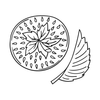 Elle çizim tarzında şirin çilek çizimi. Tek renkli olsun. Beyaz arka planda çilek ikonu. Boyama kitapları ve çocuk eğitim oyunları için tasarım