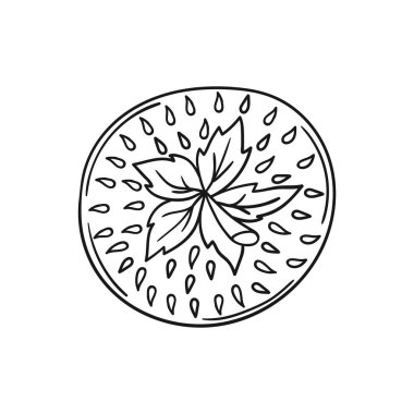 Elle çizim tarzında şirin çilek çizimi. Tek renkli olsun. Beyaz arka planda çilek ikonu. Boyama kitapları, çocuk eğitim oyunları için tasarlandı. Simge, imza, çıkartma, iğne