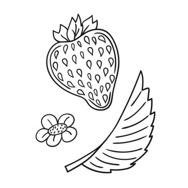 Elle çizim tarzında şirin çilek çizimi. Tek renkli olsun. Beyaz arka planda çilek ikonu. Boyama kitapları, çocuk eğitim oyunları için tasarlandı. Simge, işaret, etiket, iğne, logo