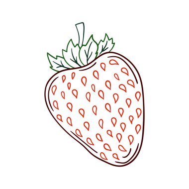 Elle çizim tarzında şirin çilek çizimi. Renk çizgisi. Beyaz arka planda çilek ikonu. Kartpostallar, el ilanları, afişler için tasarım. Simge, imza, çıkartma, iğne