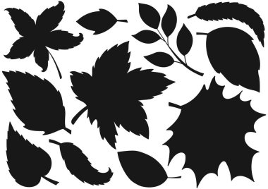 Ağaç yaprakları. Bir dizi siluet el çizimi tarzında. Bilmeceler, çocukların eğitici görevleri için tasarım. Simgeler, işaretler, çıkartmalar, logolar