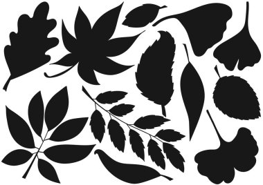 Ağaç yaprakları. Bir dizi siluet el çizimi tarzında. Bilmeceler, çocukların eğitici görevleri için tasarım. Simgeler, işaretler, çıkartmalar, iğneler