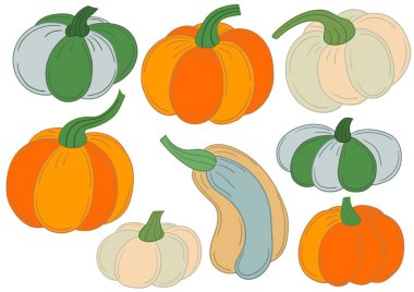 Balkabağım. El çizimi tarzında renk çizimleri. Kartpostallar, el ilanları, afişler, oda dekorasyonu için tasarım. Simgeler, işaretler, logo