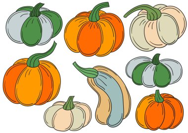 Balkabağım. El çizimi tarzında renk çizimleri. Siyah özet. Kartpostallar, el ilanları, afişler, oda dekorasyonu için tasarım. Simgeler, çıkartmalar, logolar