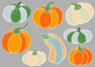 Balkabağım. Gri arkaplanda el çizimi biçiminde renk çizimleri. Beyaz taslak. Kartpostallar, el ilanları, afişler için tasarım. Simgeler, işaretler, çıkartmalar, logolar