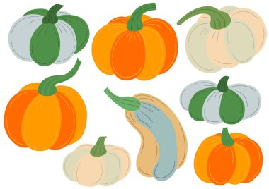 Balkabağım. Düz renkli çizimler. Kartpostallar, el ilanları, afişler, oda dekorasyonu için tasarım. Simgeler, işaretler logolar