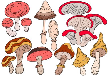 Mantarlar. El çizimi tarzında renk çizimleri. Siyah özet. Kartpostallar, el ilanları, afişler, oda dekorasyonu için tasarım. Simgeler, işaretler, çıkartmalar