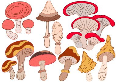 Mantarlar. El çizimi tarzında renk çizimleri. Kartpostallar, el ilanları, afişler, oda dekorasyonu için tasarım. Simgeler, işaretler, logolar