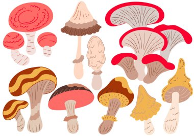 Mantarlar. Düz renkli çizimler. Kartpostallar, el ilanları, afişler, oda dekorasyonu için tasarım. Simgeler, işaretler logolar