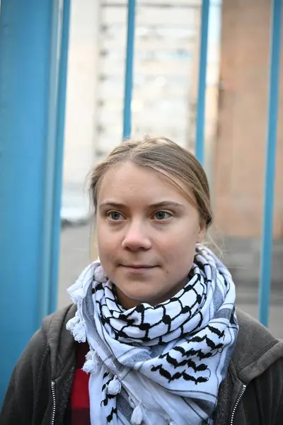 YEREVAN ARMENIA, 15 Kasım 2024, İsveçli iklim aktivisti Greta Thunberg BM Ermenistan ofisi önünde COP29 protestosu düzenledi 