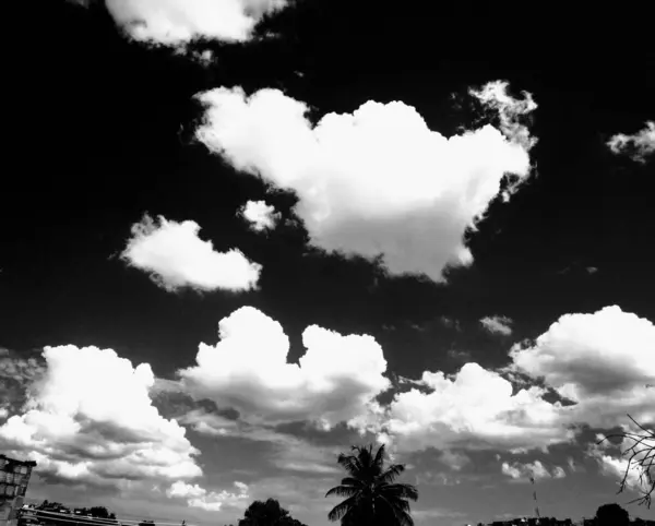 Bulutları ve doğa arkaplanı olan güzel siyah ve beyaz gökyüzü