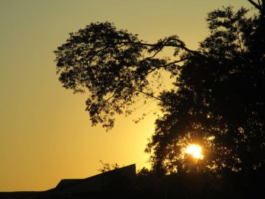 Ormanda güzel bir gün batımı