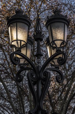 the image of a lit lamppost with various forms of glass and a background of trees at night
