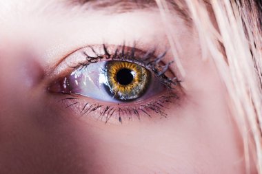 Genç bir kadının göz merceği fotoğrafı.