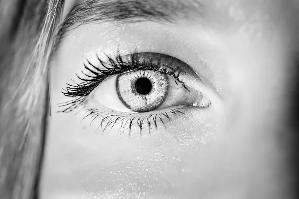 Schwarz Weiß Iris Fotografie Des Auges Einer Jungen Frau — Stockfoto